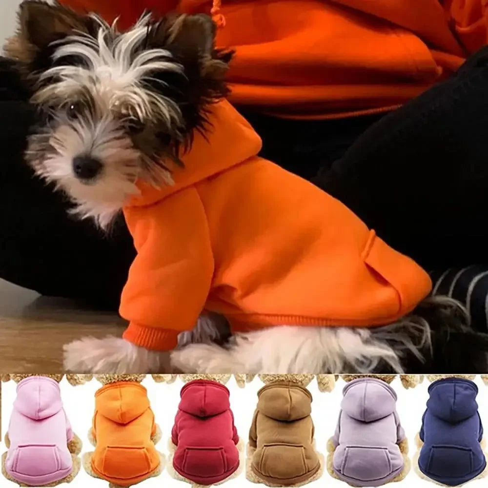 Puppy Pet Hooded Sweatshirt – Two-Legged Autumn/Winter Outfit with Pocket for Cats & Dogs