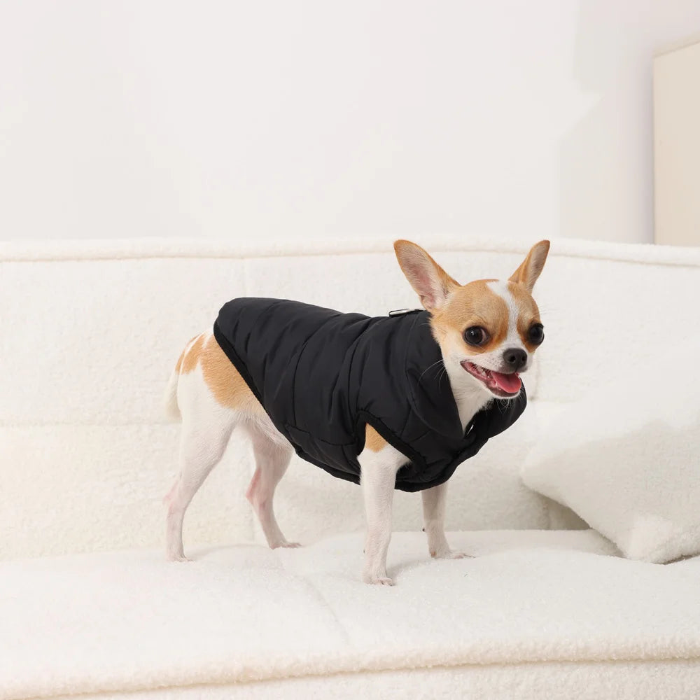 Fashion Pet Winter Coat – Thick Warm Windproof Jacket for Small & Medium Dogs