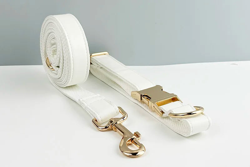 White Leather Dog Collar & Leash Set – Custom Engraved Nameplate