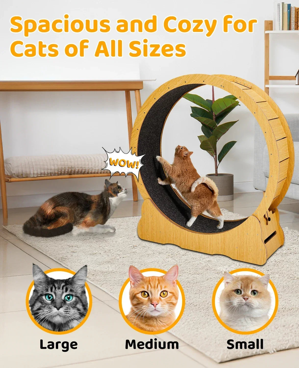 Cat Exercise Wheel – Indoor Running Wheel for Cats & Small Pets