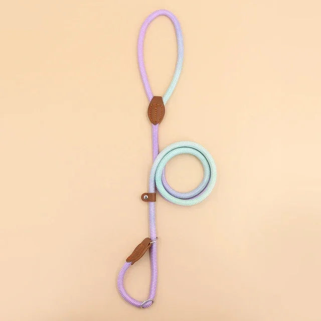 Colorful Dog Leash – Durable Nylon Lead for Indoor & Outdoor Use