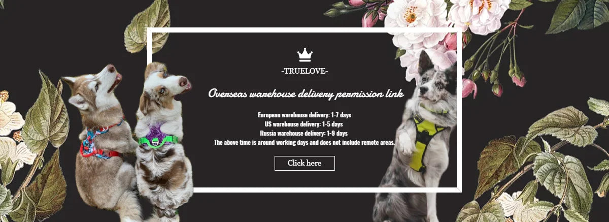 TRUELOVE Adjustable Reflective Dog Collar – Mesh Padded, Durable Nylon All-Weather Collar for All Breeds