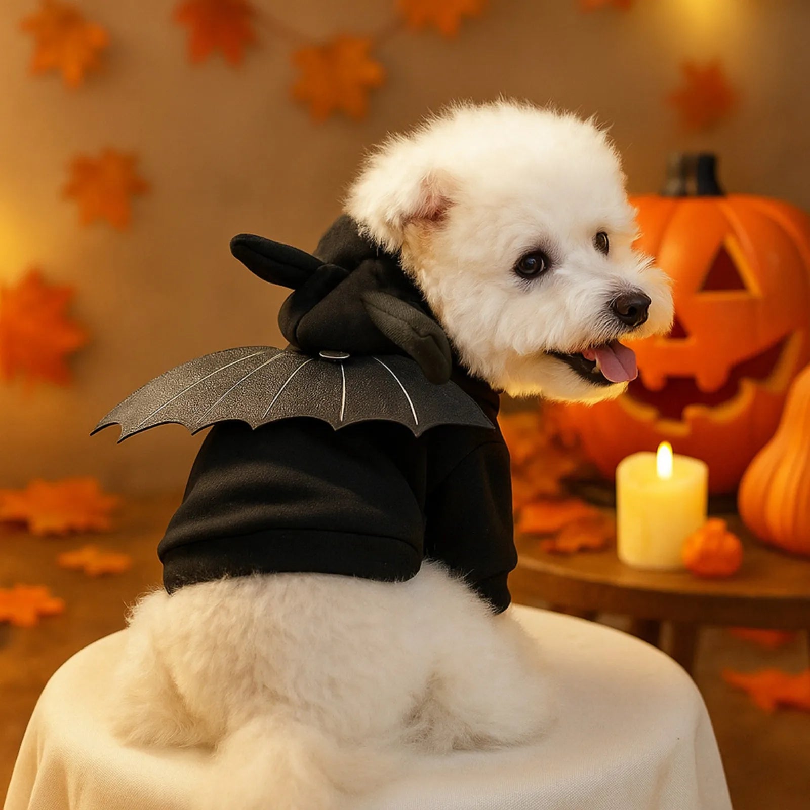 Halloween Pet Sweater – Dog & Cat Casual Fashion Costume for Parties & Fall Wear