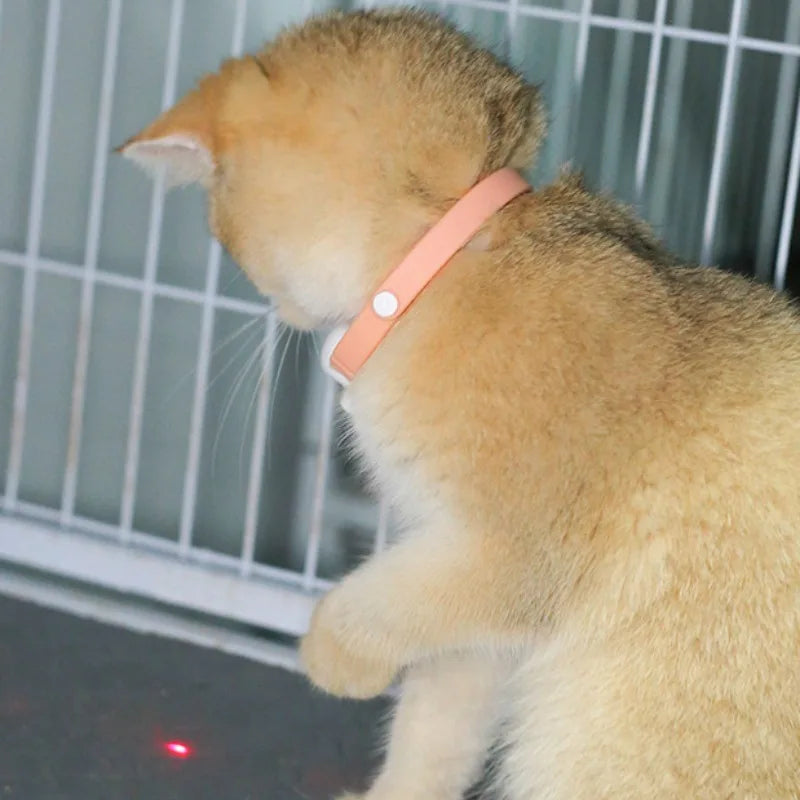 Smart Laser Cat Teaser Collar – Rechargeable Infrared Interactive Toy