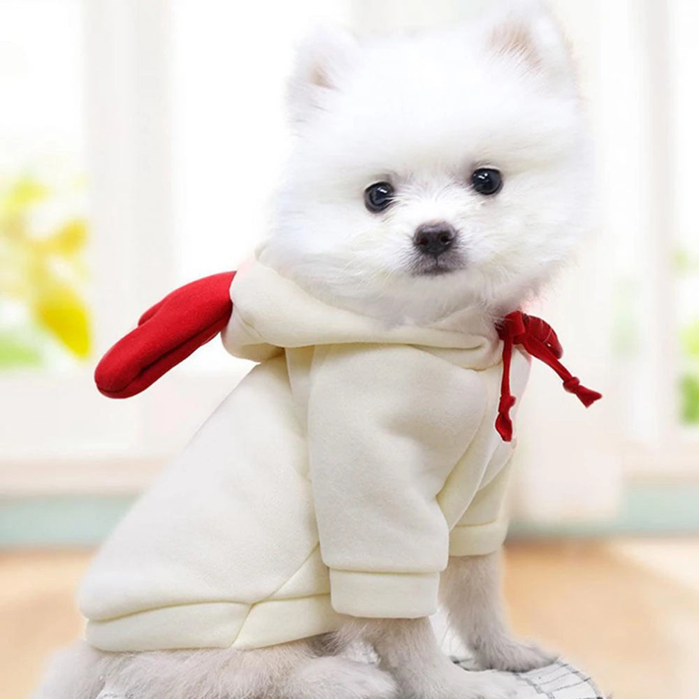 Fruit Dog Hoodie – Warm Fleece Costume for Small Dogs & Cats