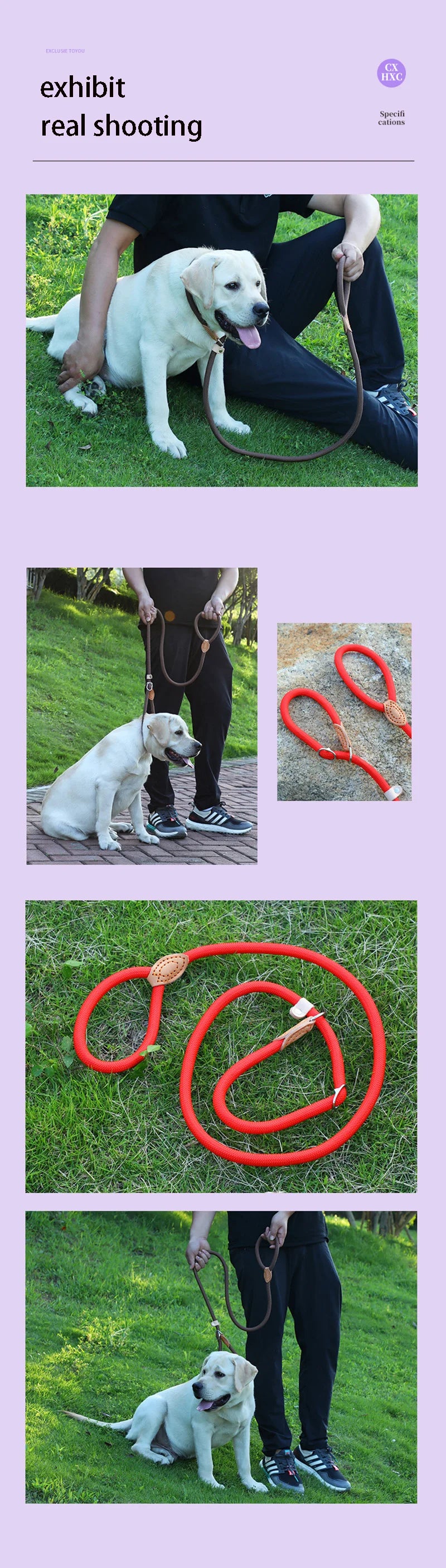Braided Rope Dog Slip Leash – Adjustable Training Lead for Small & Medium Dogs