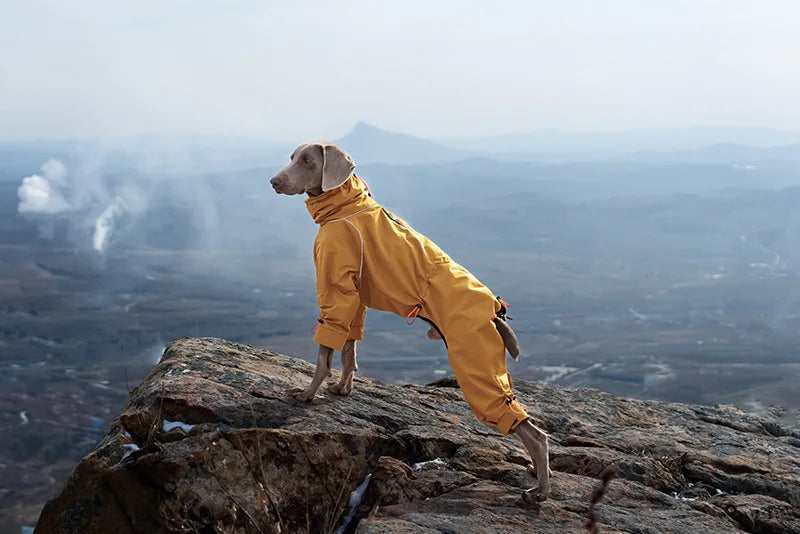Four-Leg Waterproof Dog Jacket – Windproof Reflective Winter Suit with High Neck