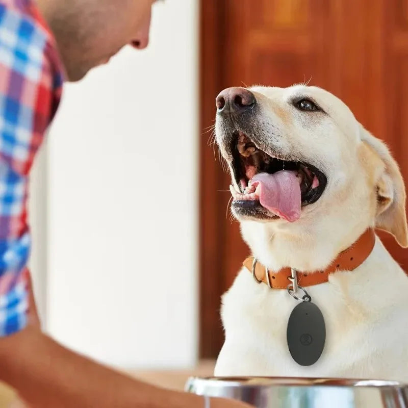 Mini GPS Pet Tracker – Anti-Lost Bluetooth Locator for Dogs, Cats & Pets