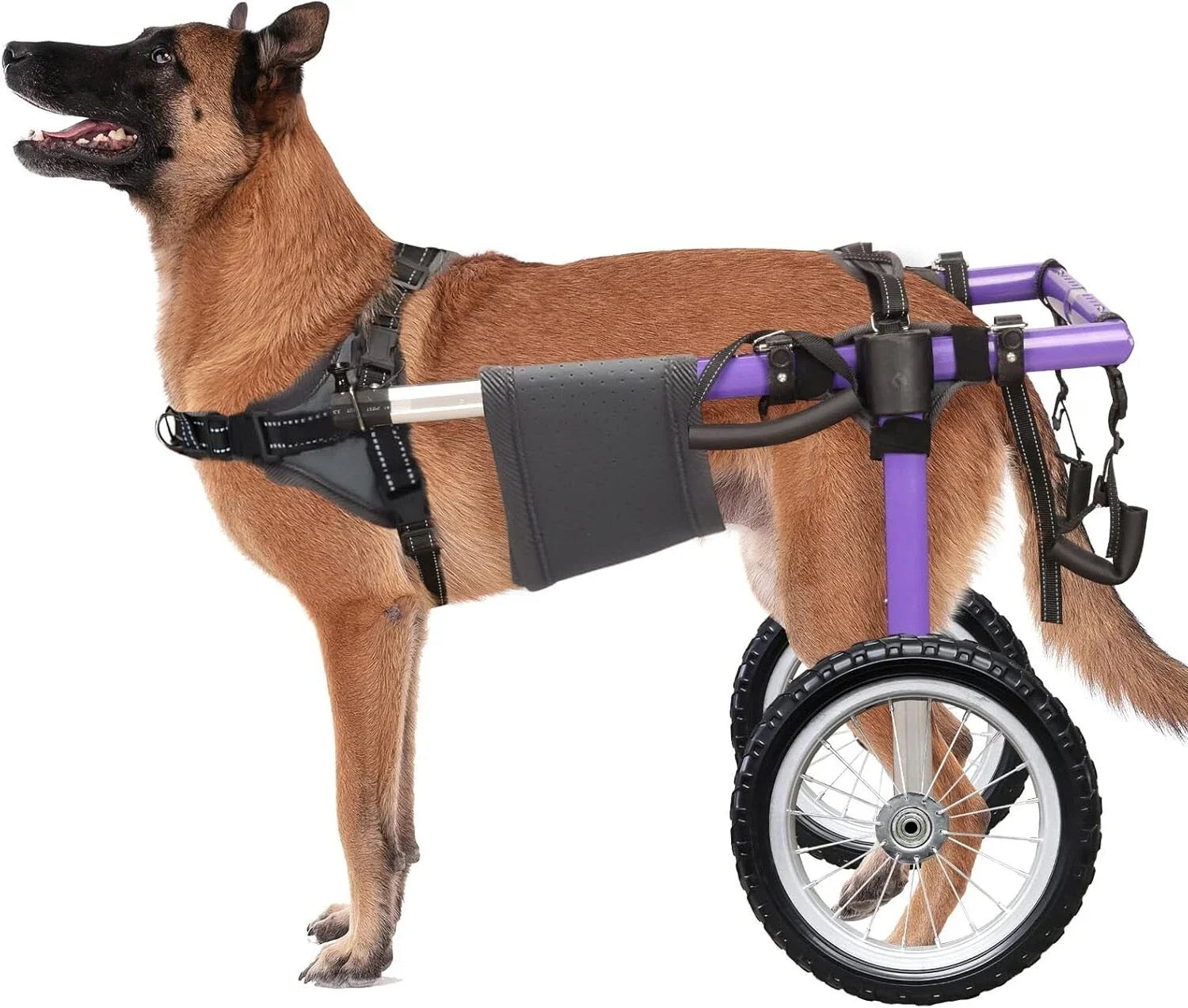 Dog Wheelchair for Back Legs – Lightweight Aluminum Frame with All-Terrain Wheels | Mobility Support for Large Dogs