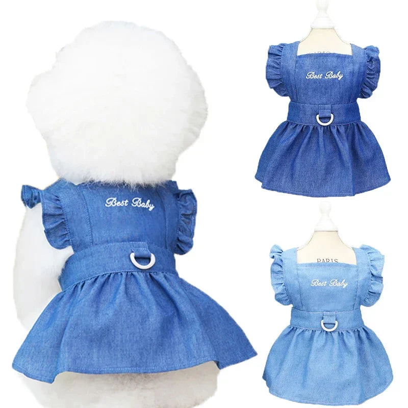 Rainbow Dog Dress – Summer Pet Outfit with Rookie Letter Print