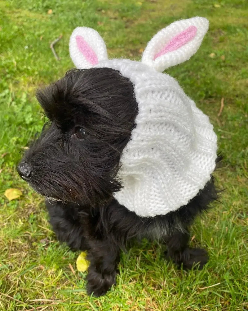 Christmas Elk Dog Hat – Knitted Warm Windproof Pet Headgear