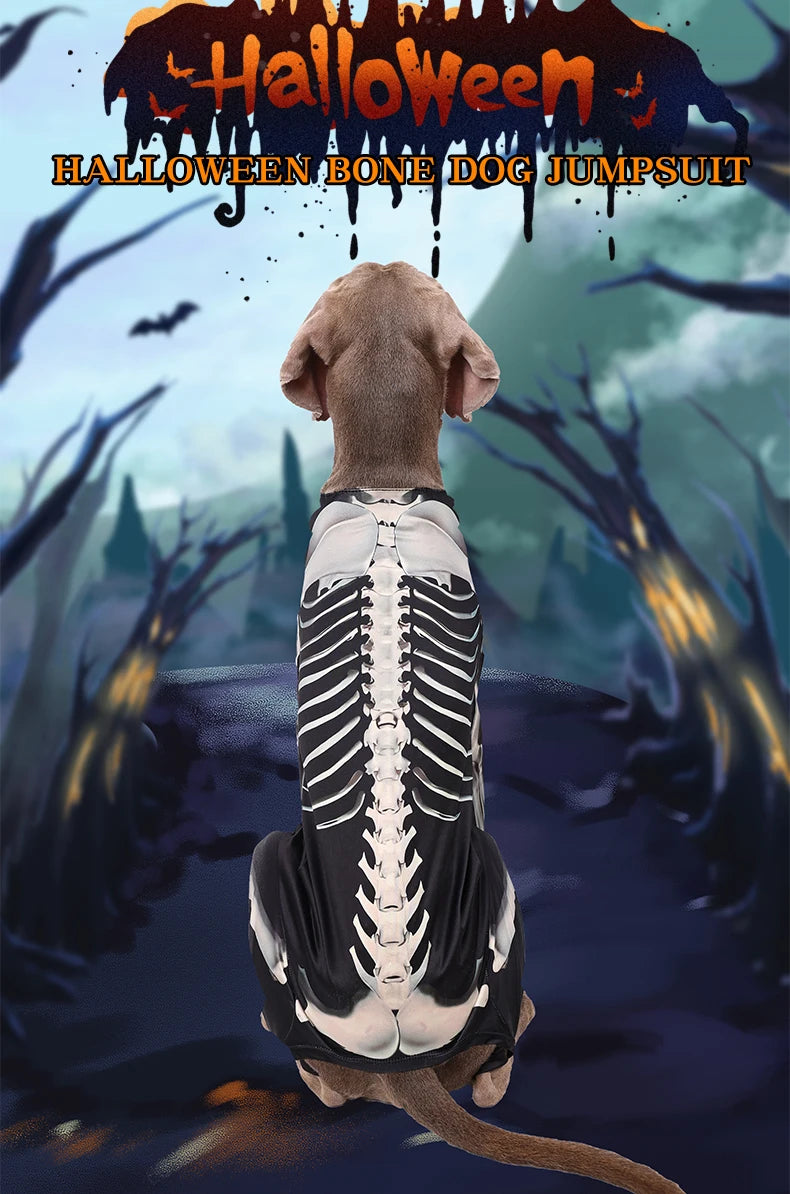 Dog Skeleton Hoodie – Halloween Bone Pattern Costume Sweater for Small to Large Dogs (S–XXXL)