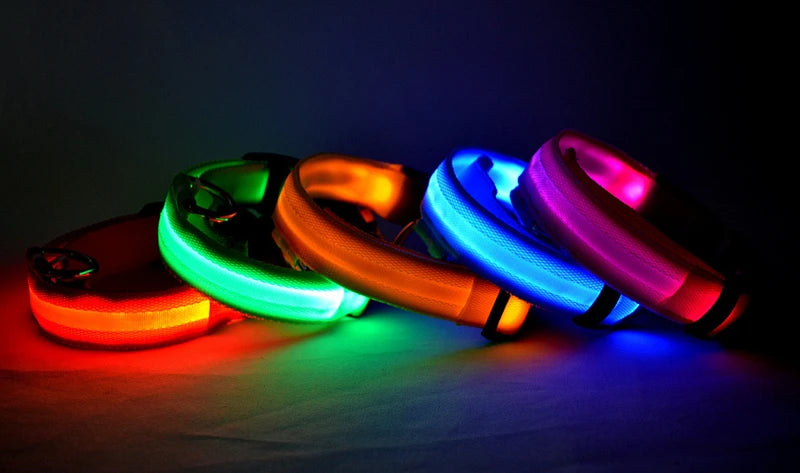 USB Rechargeable LED Dog Collar – Glowing Light-Up Safety Collar with Pendant for Small Dogs & Cats