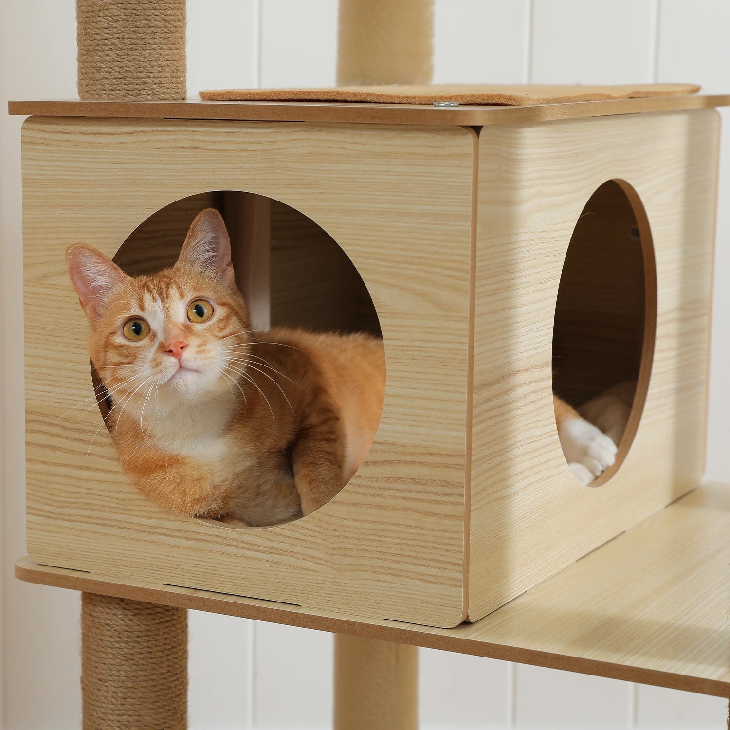 Multi-Level Cat Tree – Condo Tower with Hammock, Scratching Posts & Toys