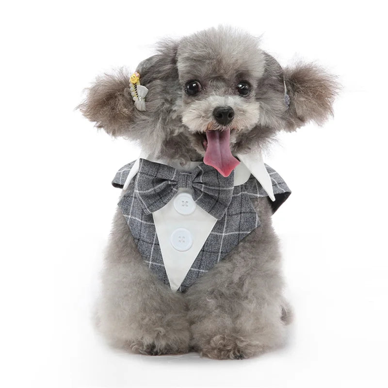 Luxury Dog Tailcoat Suit – Formal Wedding Outfit for Small Dogs (Chihuahua, Maltese, Yorkie)