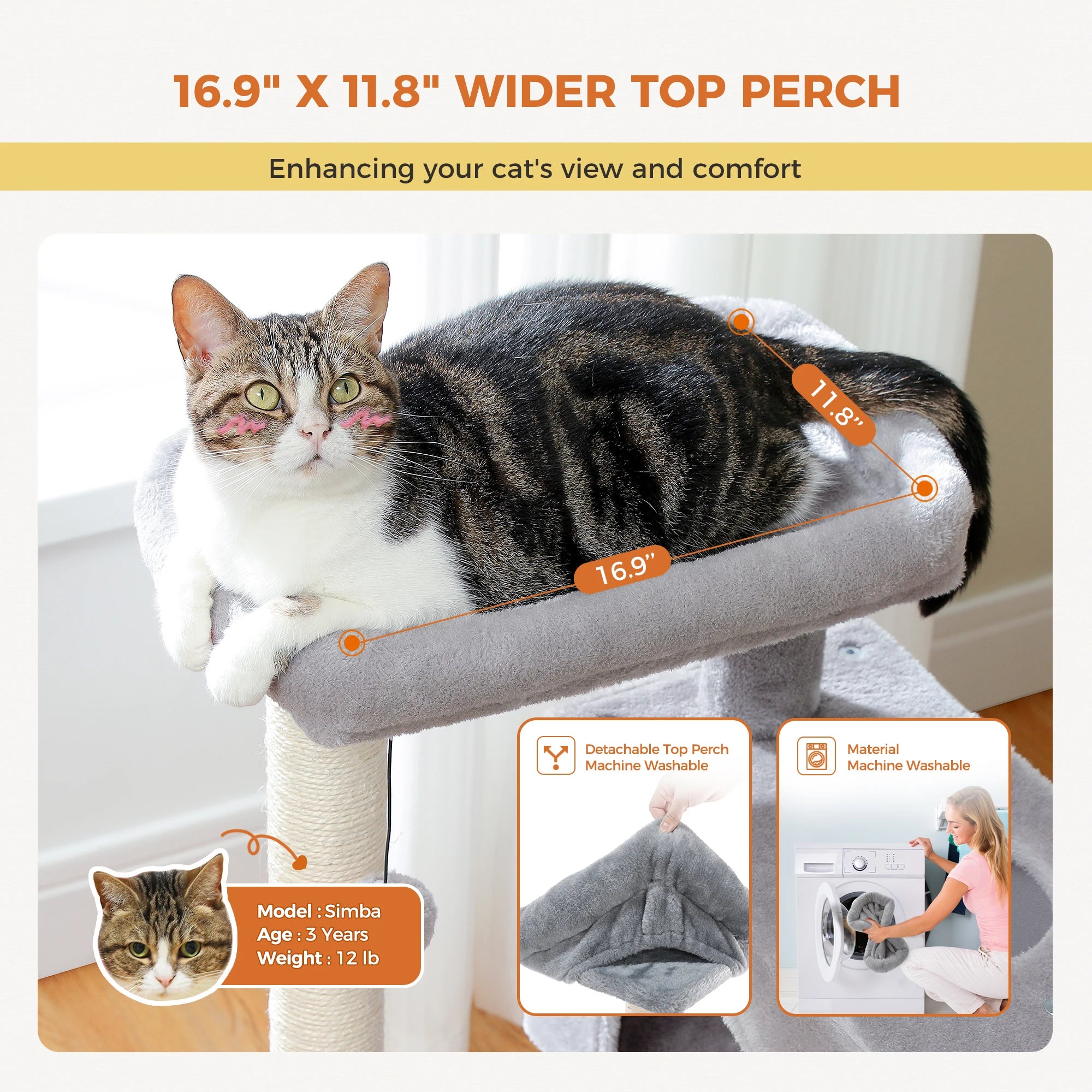 82cm Cat Tree Tower – Double Condos with Detachable Perch & Spring Ball