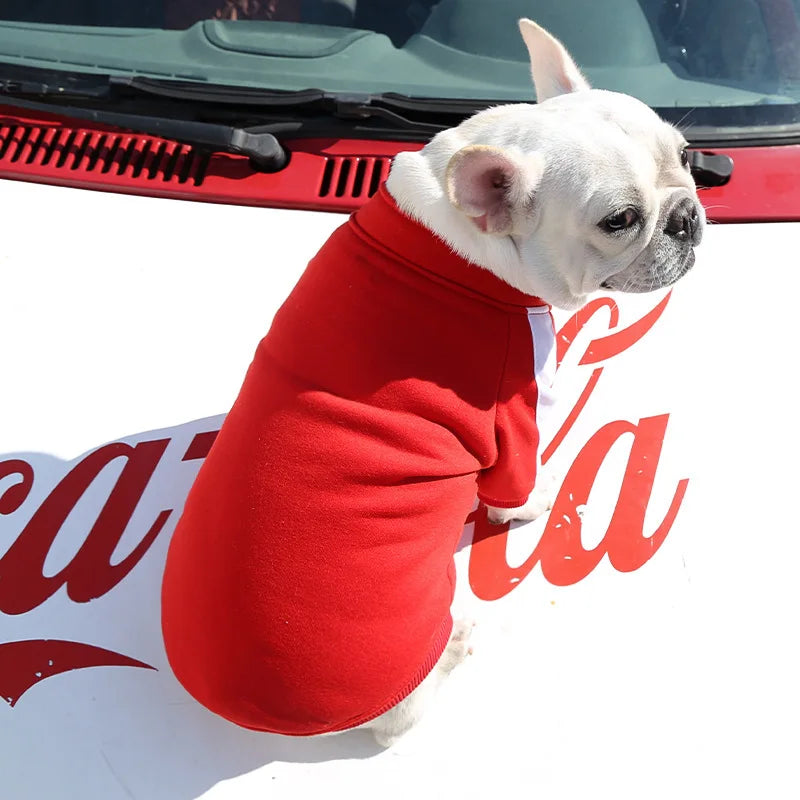 Baseball Dog Jacket – Winter Coat for Small & Medium Dogs