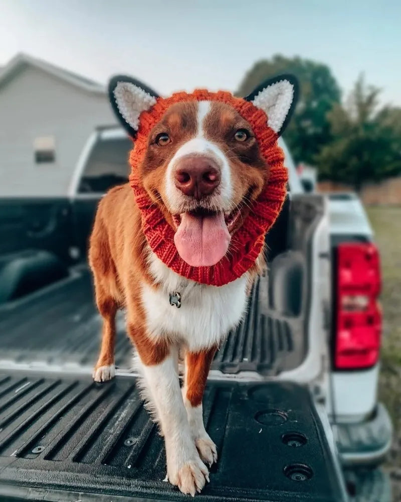 Christmas Elk Dog Hat – Knitted Warm Windproof Pet Headgear