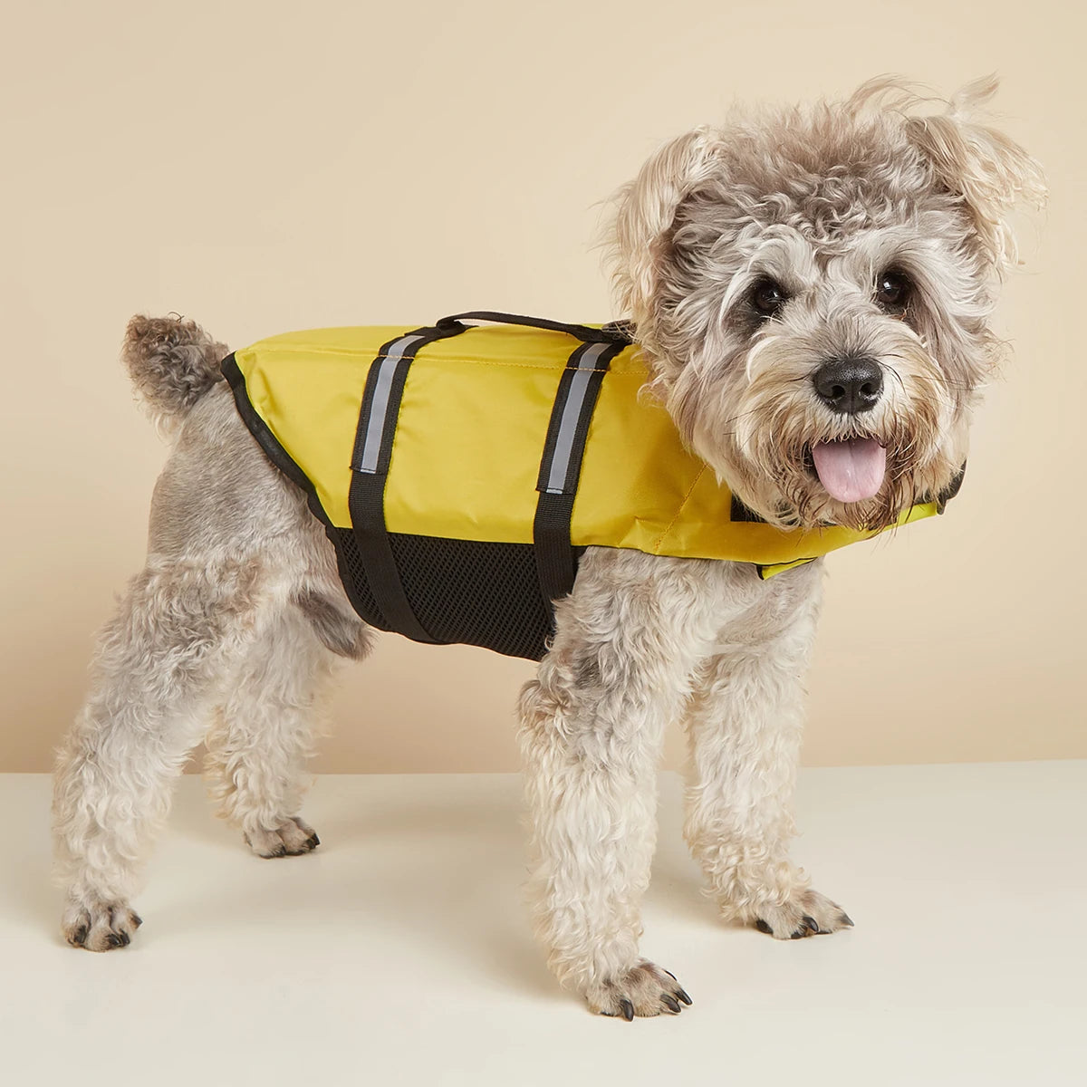 Reflective Dog Life Jacket – Adjustable Safety Swim Vest with Enhanced Buoyancy for Medium & Large Dogs
