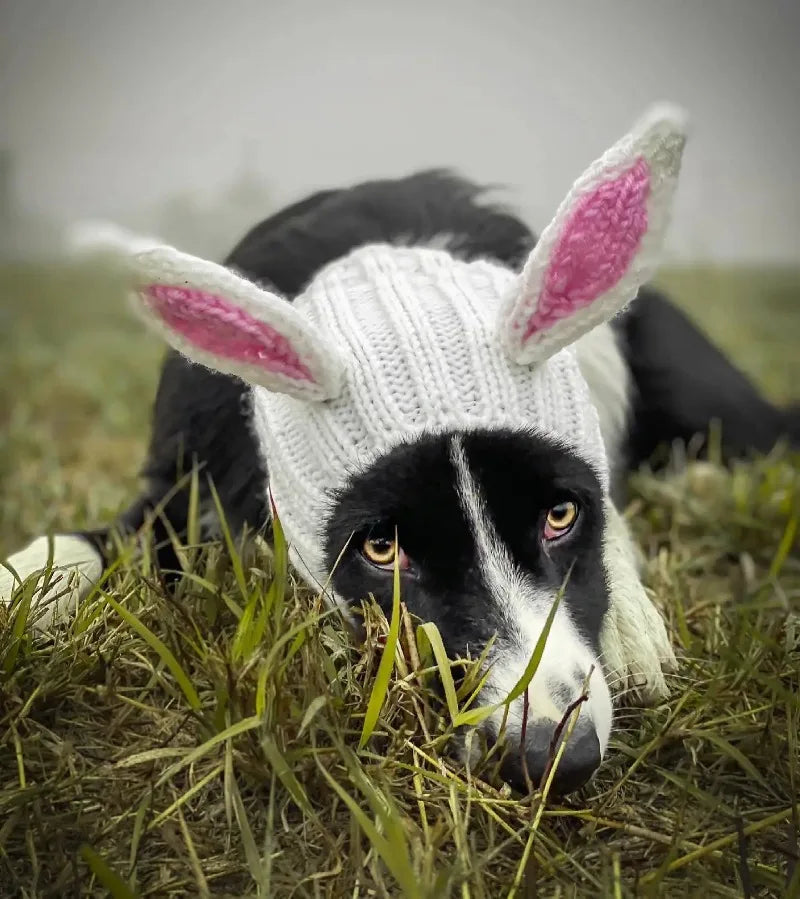 Christmas Elk Dog Hat – Knitted Warm Windproof Pet Headgear