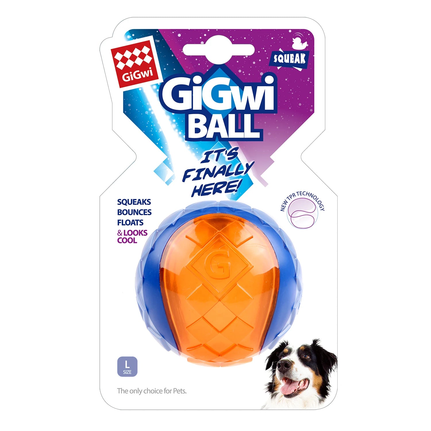Interactive Dog Ball – G-Ball Series Squeaky Bouncy Toy for Small & Medium Dogs