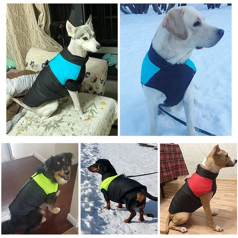 Winter Dog Coat – Waterproof Warm Pet Jacket for Small, Medium & Large Dogs