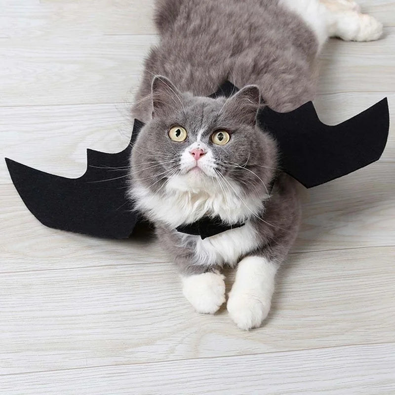 Halloween Bat Wings Costume – Funny Pet Harness Outfit for Dogs & Cats