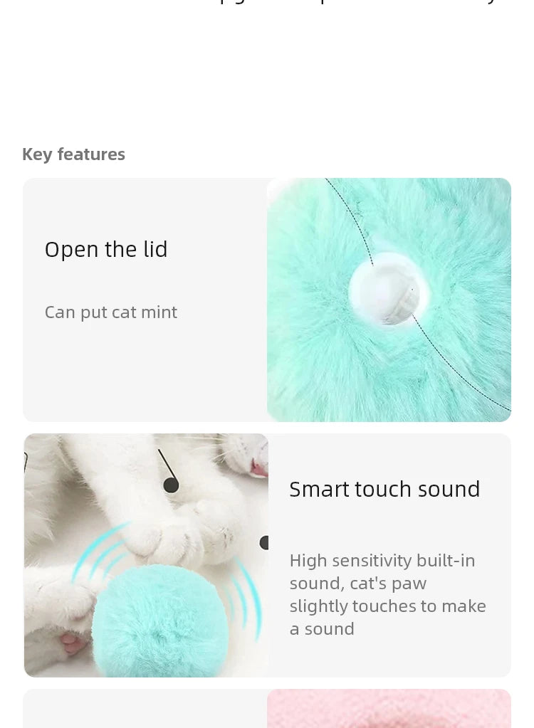 Interactive Plush Cat Toy Ball – Electric Catnip Squeak Toy for Kitten Training & Play