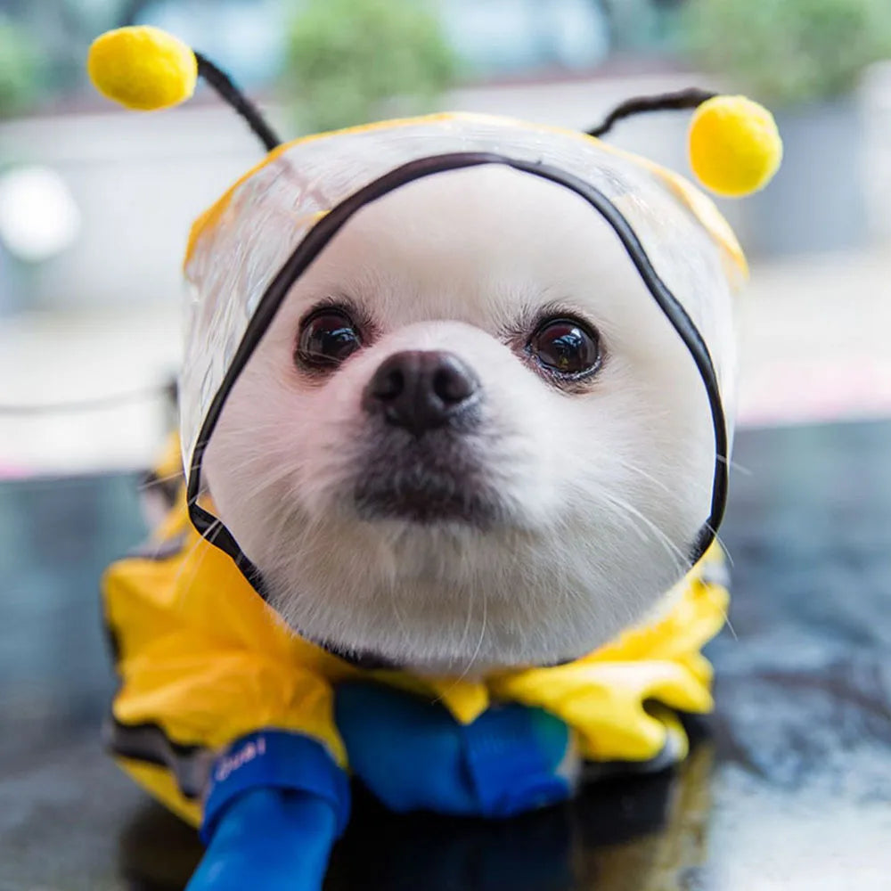 Bear Dog Raincoat – Full Body Waterproof Puppy Jacket with Hood