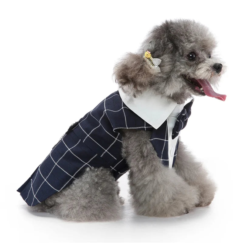 Luxury Dog Tailcoat Suit – Formal Wedding Outfit for Small Dogs (Chihuahua, Maltese, Yorkie)