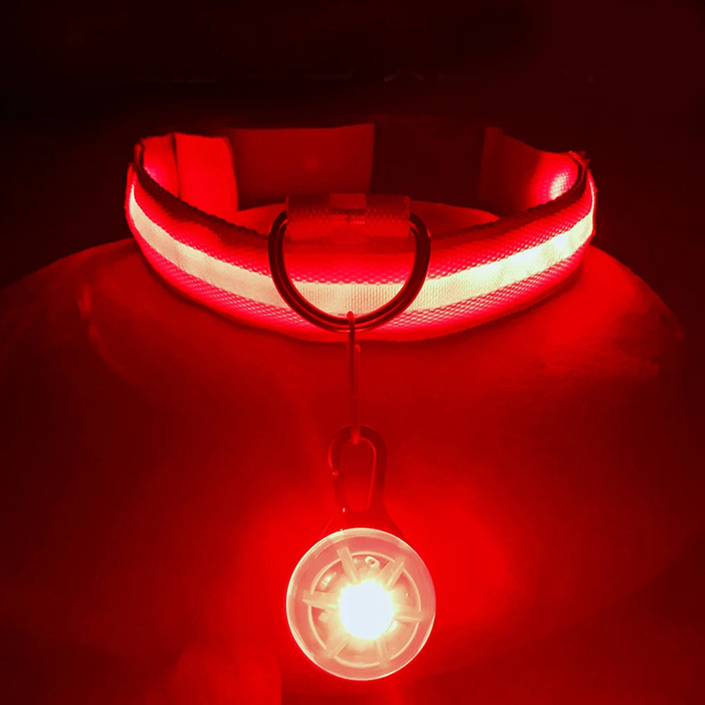 USB Rechargeable LED Dog Collar – Glowing Light-Up Safety Collar with Pendant for Small Dogs & Cats