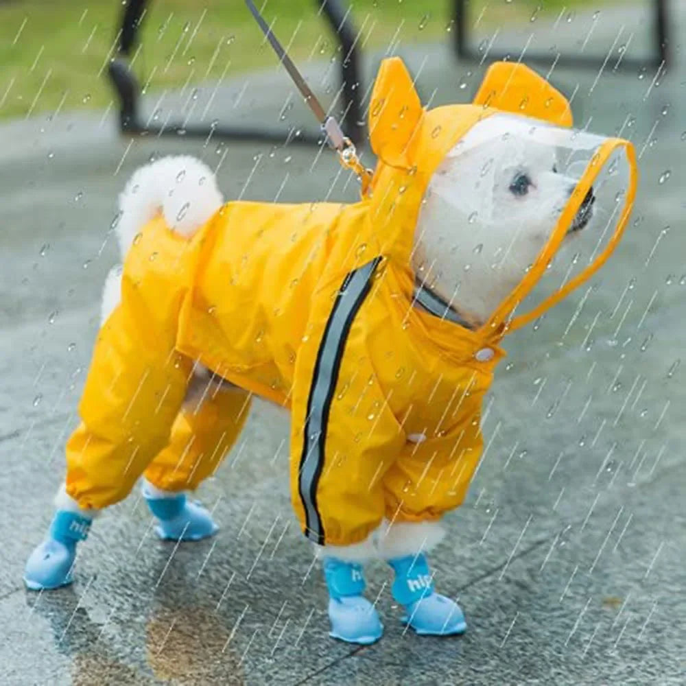 Bear Dog Raincoat – Full Body Waterproof Puppy Jacket with Hood