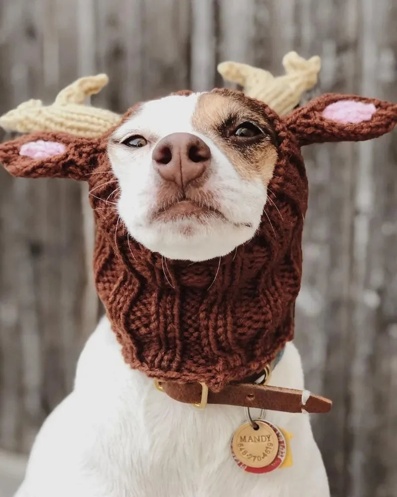 Christmas Elk Dog Hat – Knitted Warm Windproof Pet Headgear