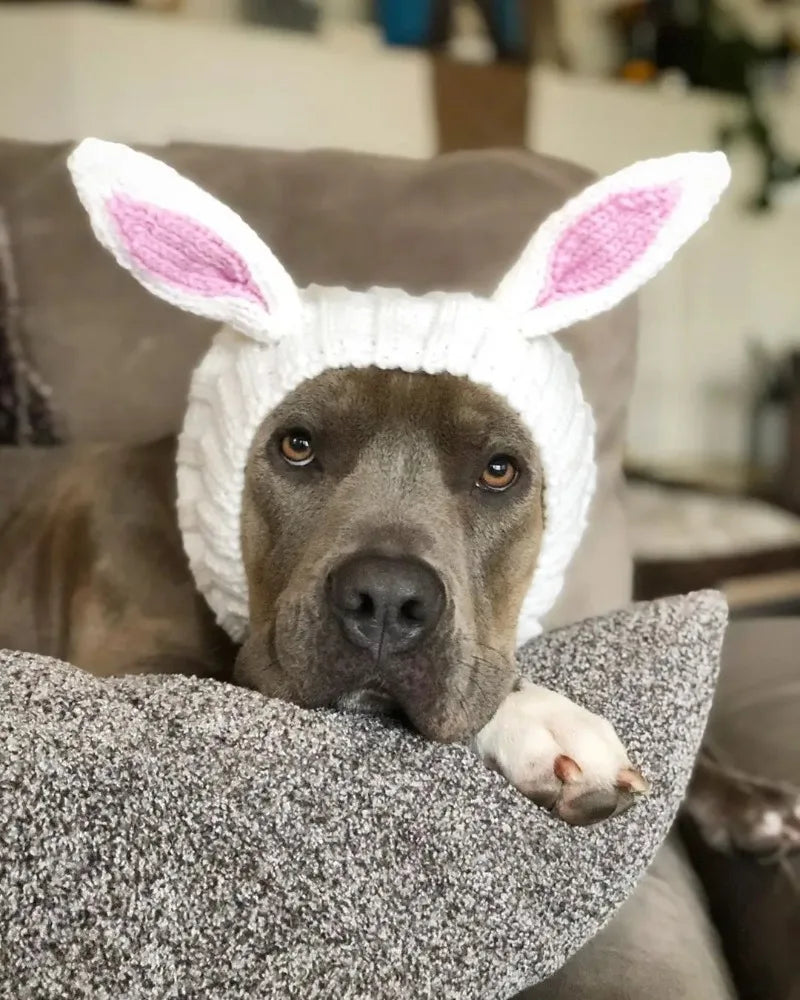 Christmas Elk Dog Hat – Knitted Warm Windproof Pet Headgear