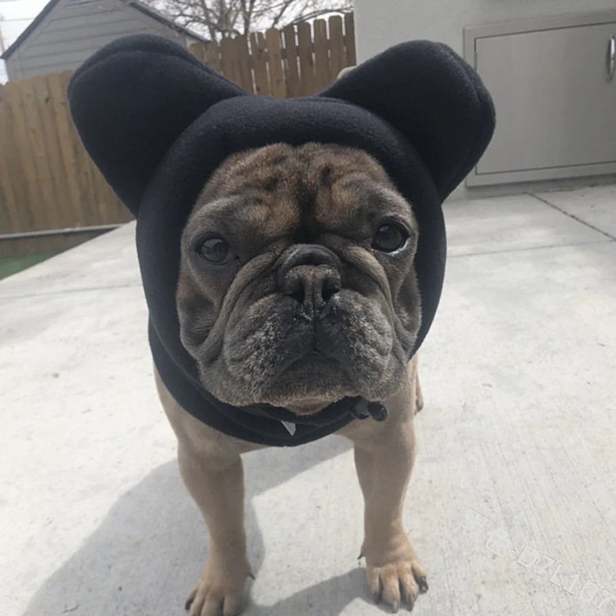 Fleece Bat Hat – Warm Adjustable Winter Pet Hat for Dogs