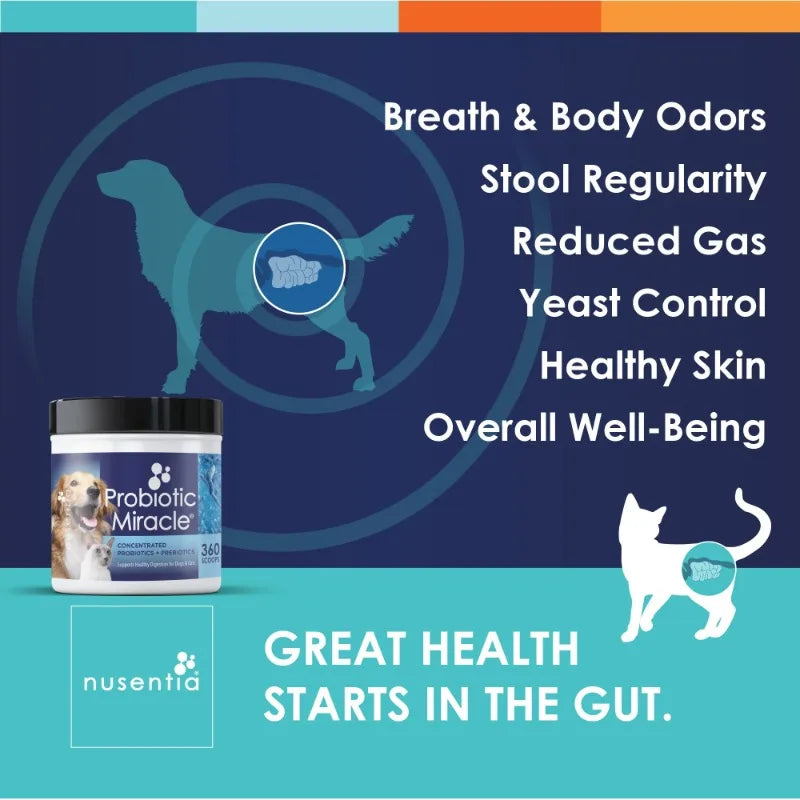 Probiotic Miracle – 360 Servings Probiotics for Dogs & Cats | Digestive, Gut & Immune Support with Prebiotics