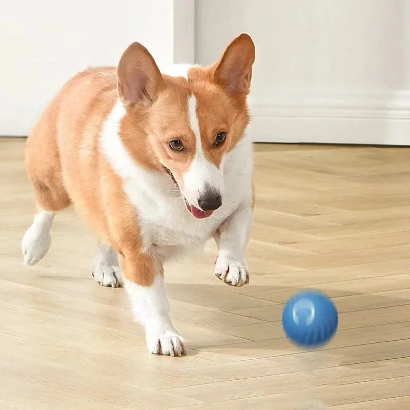 Smart Electronic Dog Toy Ball – USB Rechargeable Interactive Moving Ball for Pets