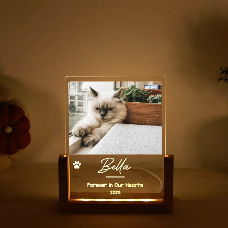 Custom Pet Photo LED Night Light – Acrylic & Wooden Stand