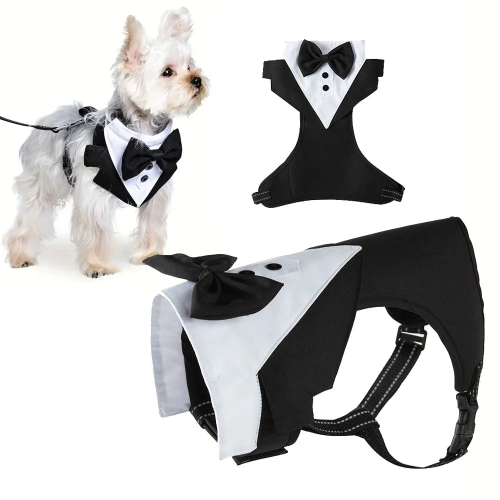 Female Dog Tuxedo Harness – Adjustable Formal Vest Costume for French Bulldogs & Large Dogs | Party & Wedding Pet Suit