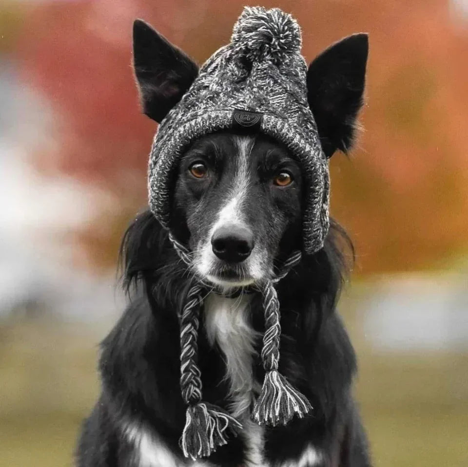 Winter Knitted Pet Hat – Warm Woolen Cap with Fur Ball for Cats & Dogs