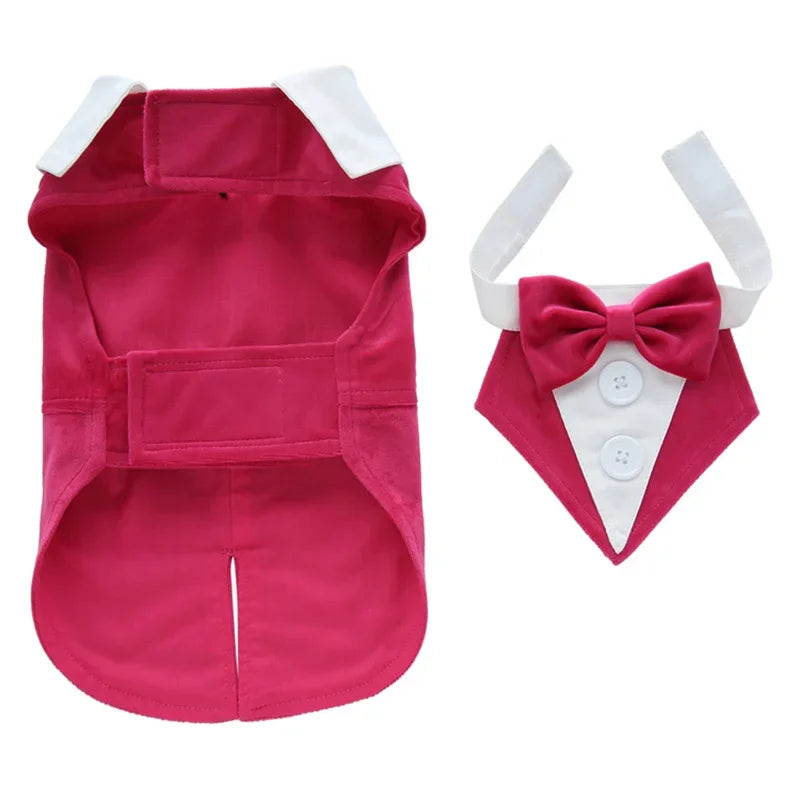 Luxury Dog Tailcoat Suit – Formal Wedding Outfit for Small Dogs (Chihuahua, Maltese, Yorkie)