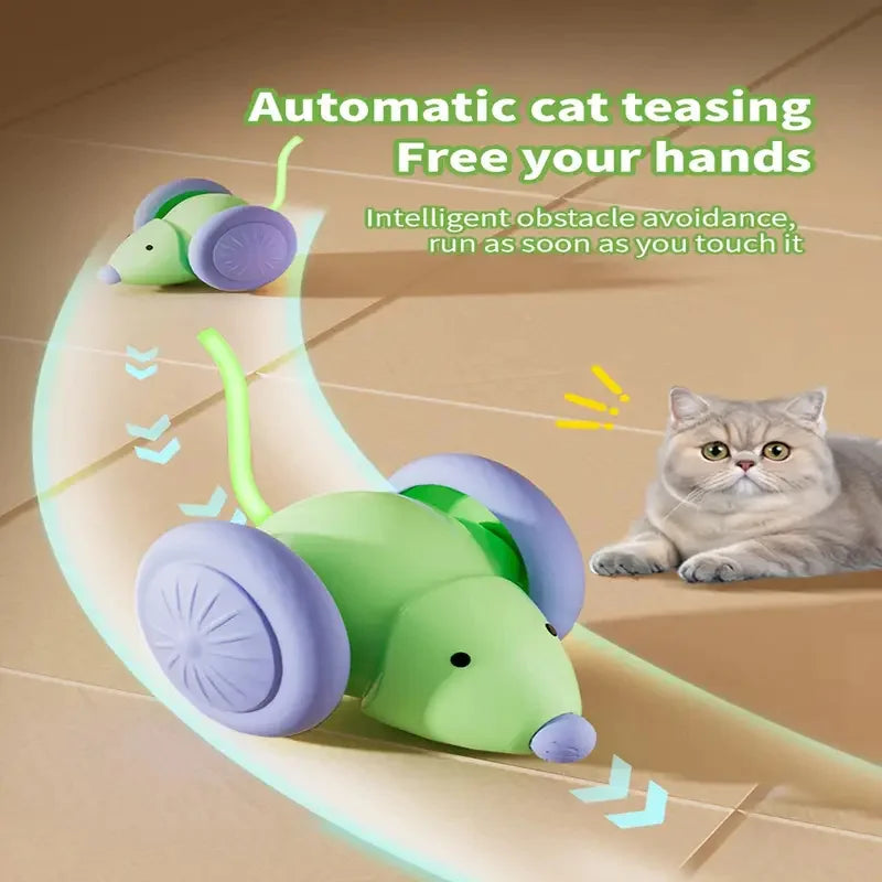Smart Interactive Cat Toy Ball – USB Rechargeable Rolling Teaser