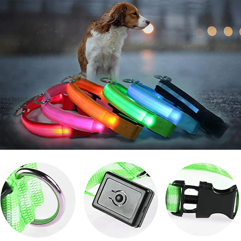 USB Rechargeable LED Dog Collar – Glowing Light-Up Safety Collar with Pendant for Small Dogs & Cats