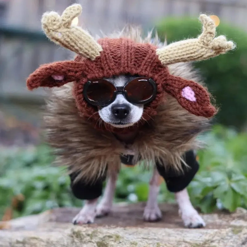 Christmas Elk Dog Hat – Knitted Warm Windproof Pet Headgear
