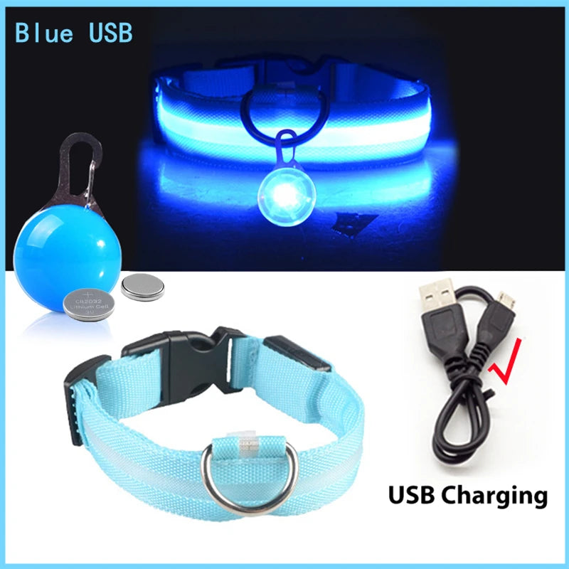 USB Rechargeable LED Dog Collar – Glowing Light-Up Safety Collar with Pendant for Small Dogs & Cats