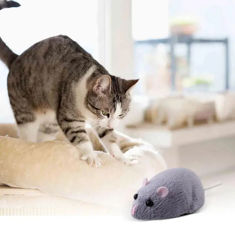 Interactive Remote Control Mouse Toy for Cats – Simulation Infrared RC Pet Toy