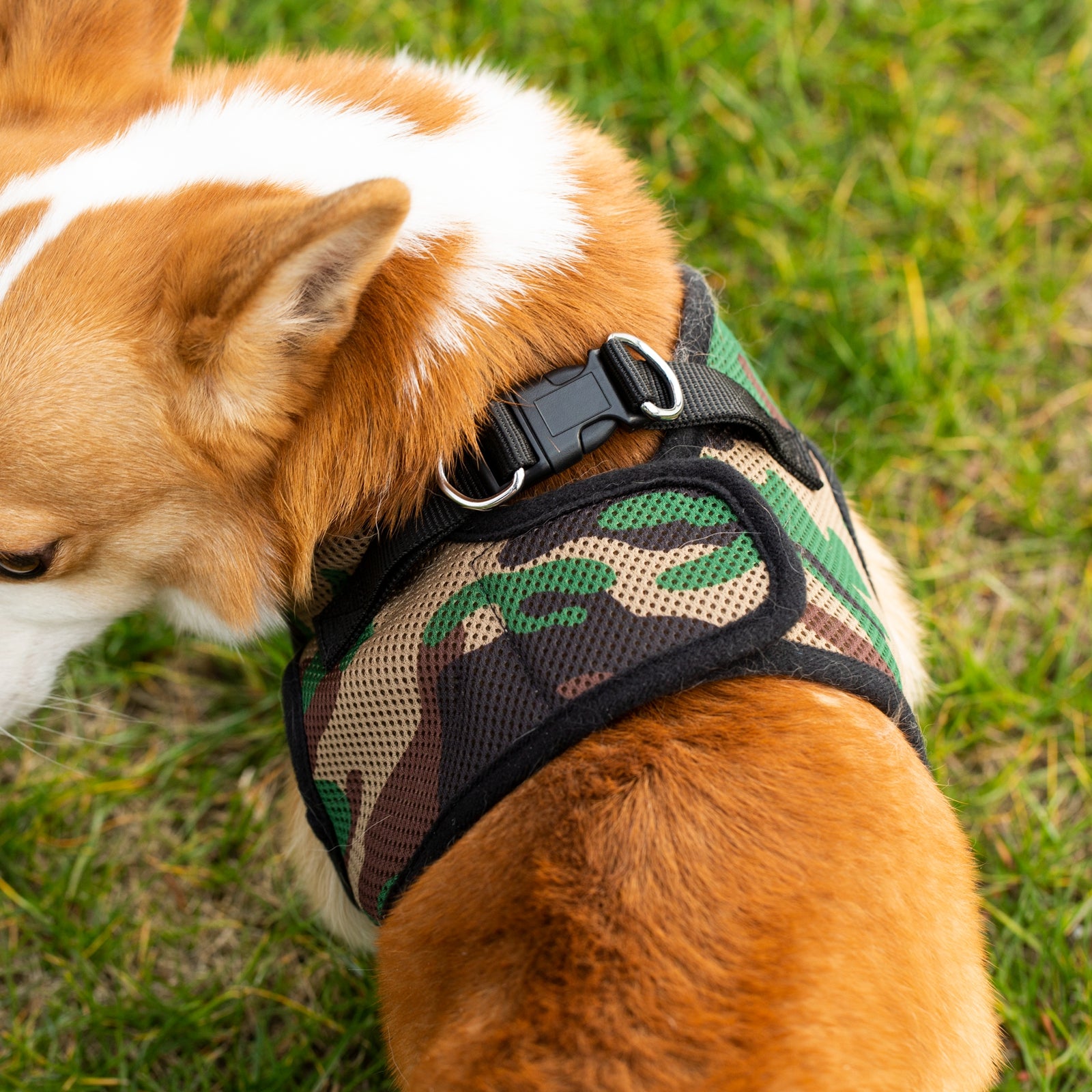 Mr. Peanut's PetTrek Soft Mesh Pet Harness with Matching Leash – Adjustable, Breathable, Choke-Free