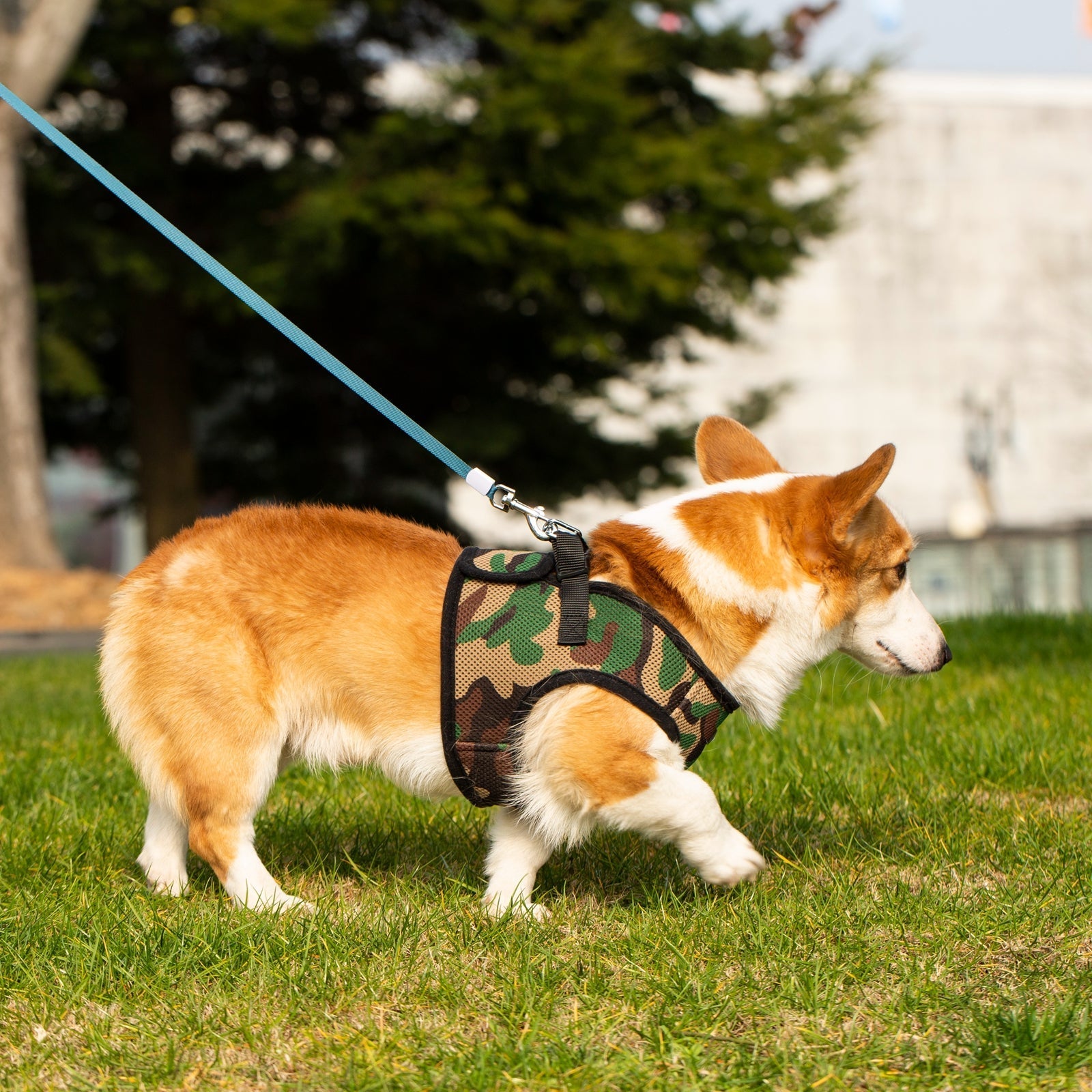 Mr. Peanut's PetTrek Soft Mesh Pet Harness with Matching Leash – Adjustable, Breathable, Choke-Free