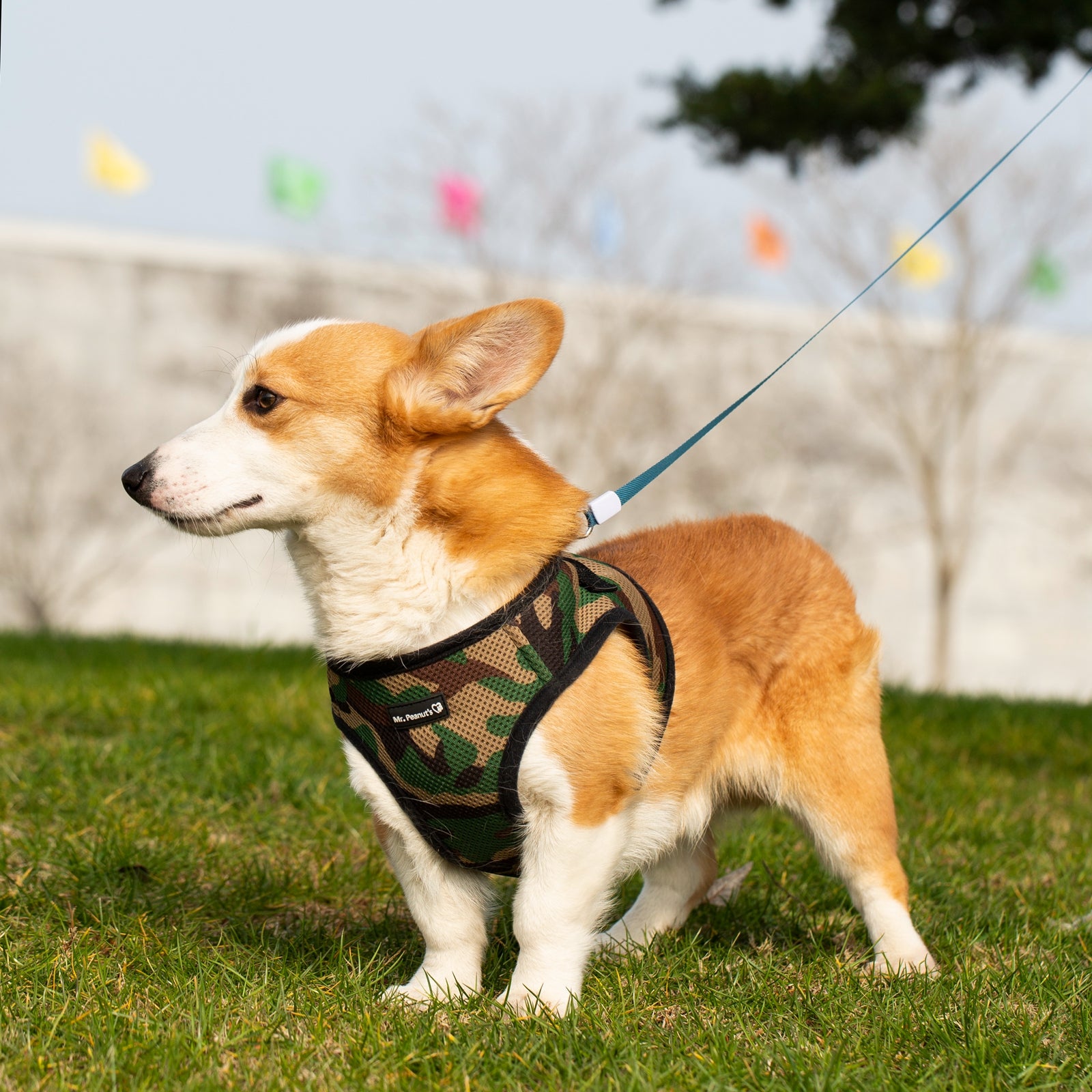 Mr. Peanut's PetTrek Soft Mesh Pet Harness with Matching Leash – Adjustable, Breathable, Choke-Free
