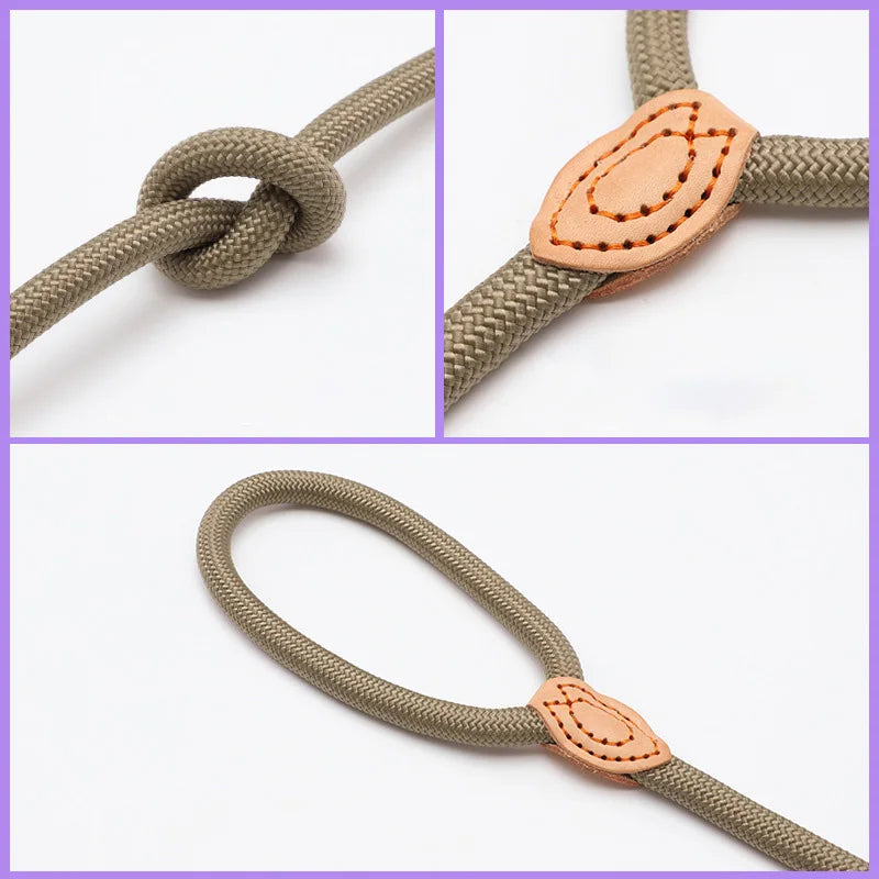 Braided Rope Dog Slip Leash – Adjustable Training Lead for Small & Medium Dogs